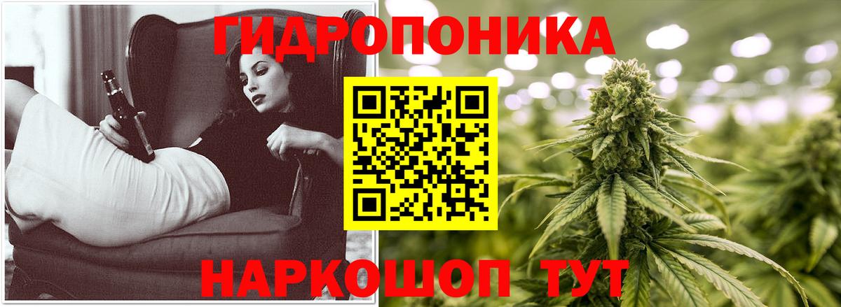 Шишки марихуана семена  Канабис сатива  Канабис Ganja  Вход с VPN  Бошки марихуана LSD WEED  Вольск 